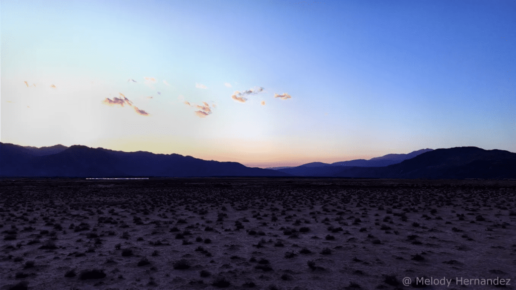 desert-image-1-final-version